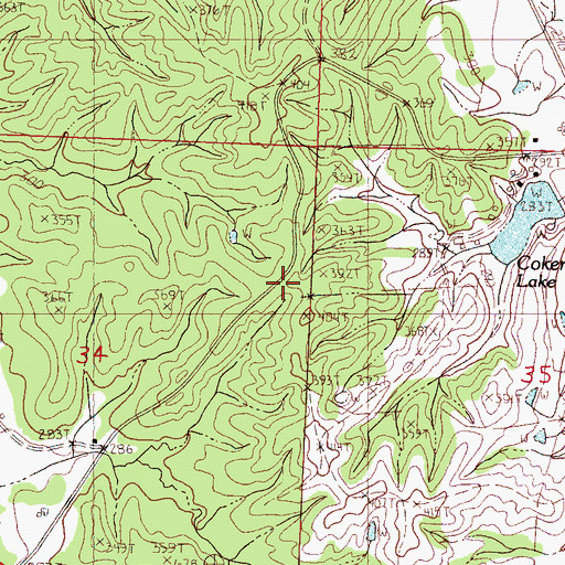 Topographic Map of Lick Branch School, MS