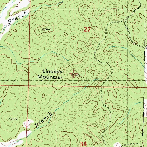 Topographic Map of Lindsey Mountain, MS