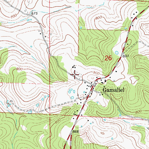 Topographic Map of Gamaliel Cemetery, AR