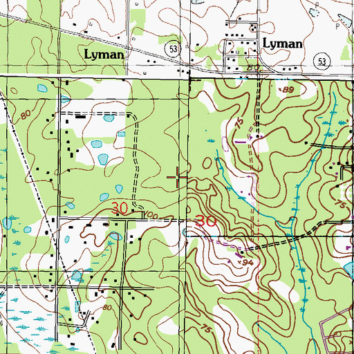 Topographic Map of Lyman, MS