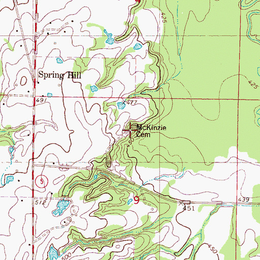 Topographic Map of McKinzie Cemetery, MS