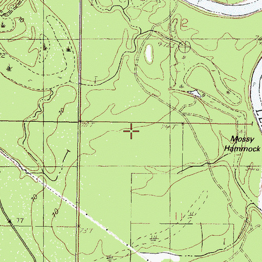 Topographic Map of Mossy Hammock, MS