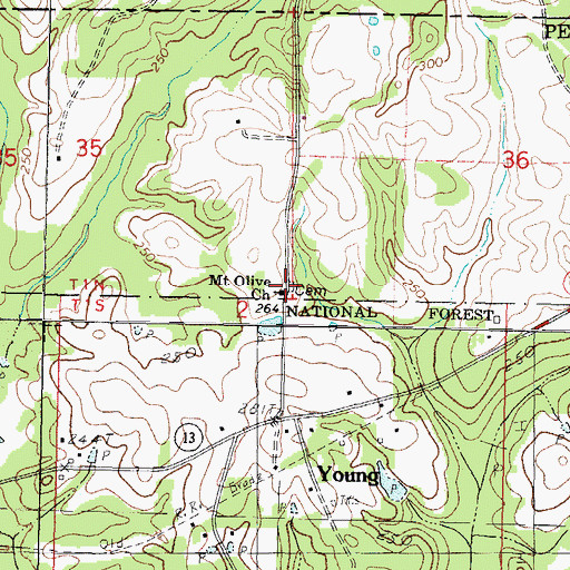 Topographic Map of Mount Olive Church, MS