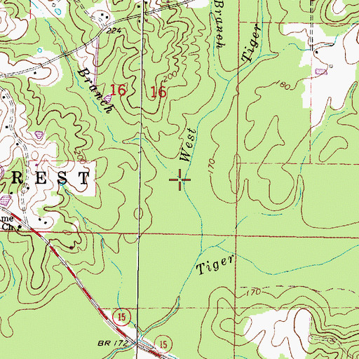 Topographic Map of Noggin Head Branch, MS