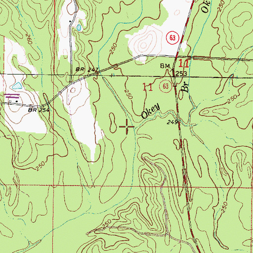 Topographic Map of Okey Branch, MS