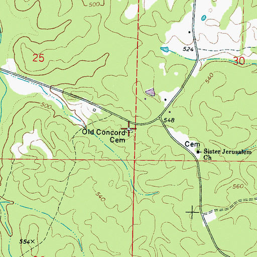 Topographic Map of Old Concord Cemetery, MS