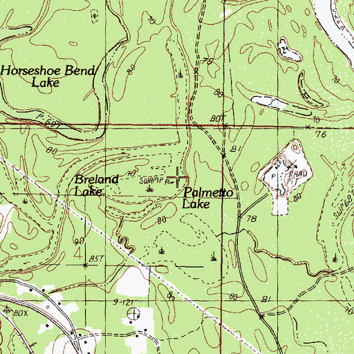 Topographic Map of Palmetto Lake, MS