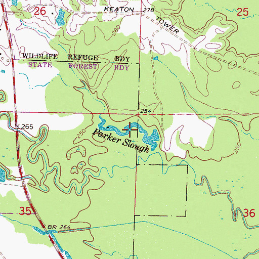 Topographic Map of Parker Slough, MS