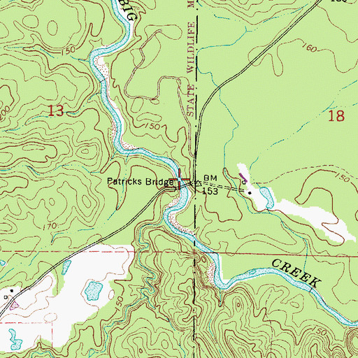 Topographic Map of Patricks Bridge, MS
