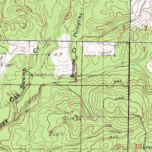 Topographic Map of Picayune Creek, MS