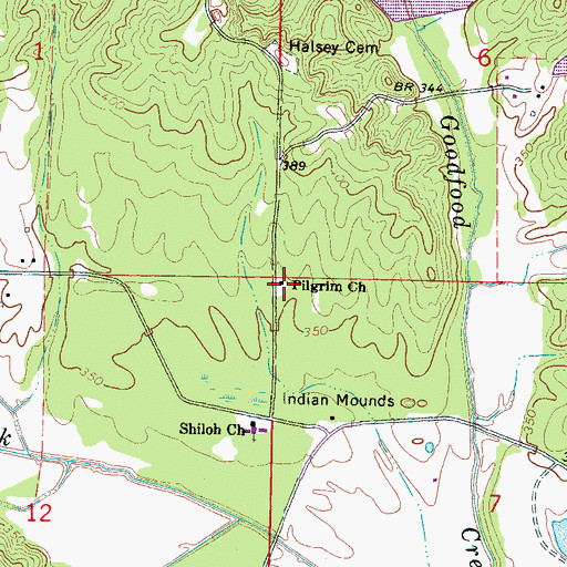 Topographic Map of Pilgrim Church, MS