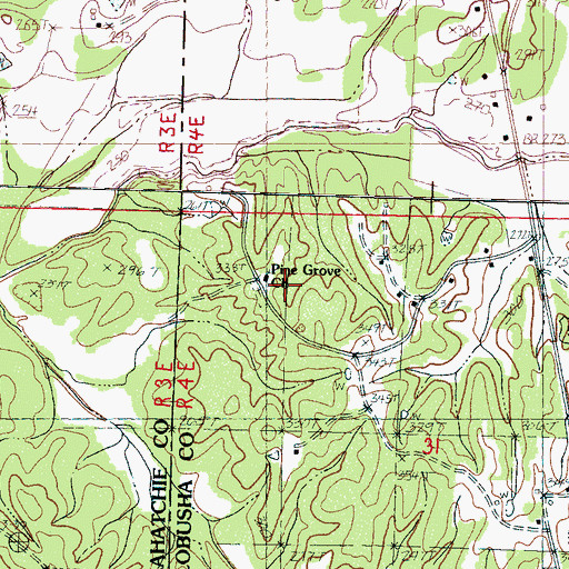Topographic Map of Pine Grove Church, MS