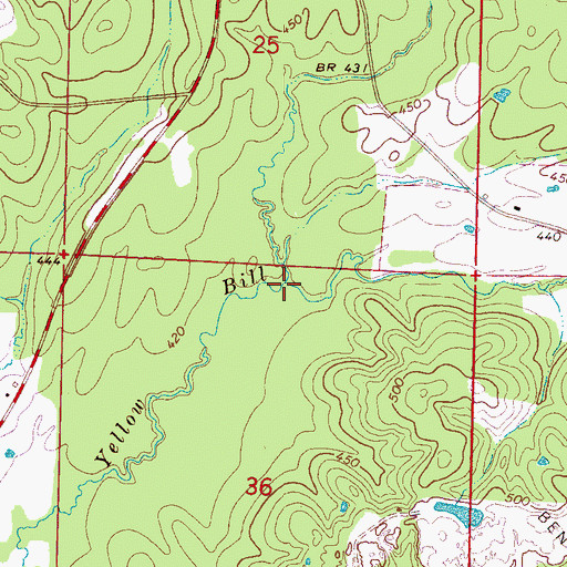 Topographic Map of Pitt Branch, MS