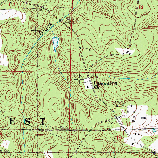Topographic Map of Pleasant Hill Church, MS