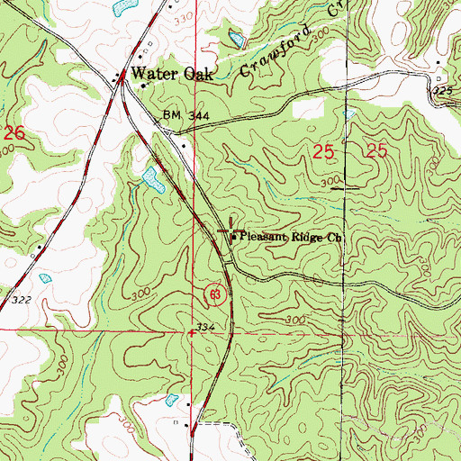 Topographic Map of Pleasant Ridge Church, MS