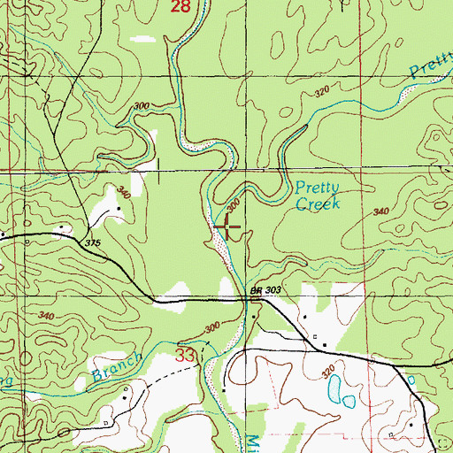 Topographic Map of Pretty Creek, MS