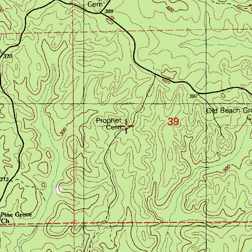 Topographic Map of Prophet Cemetery, MS
