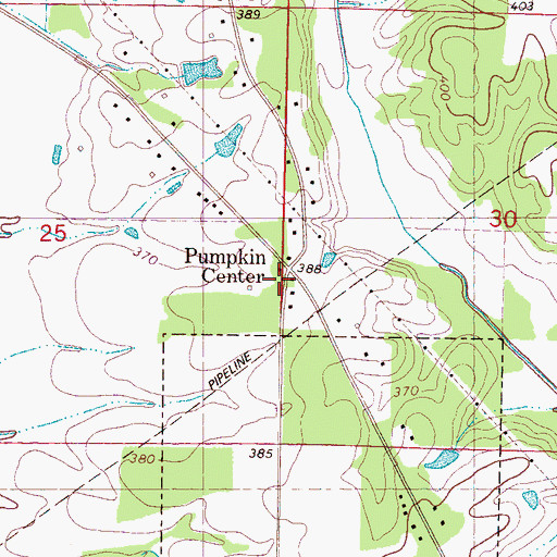 Topographic Map of Pumpkin Center, MS