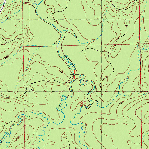 Topographic Map of Red Prong, MS