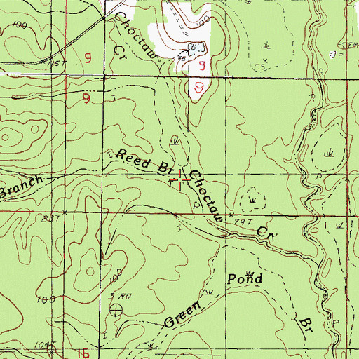 Topographic Map of Reed Branch, MS