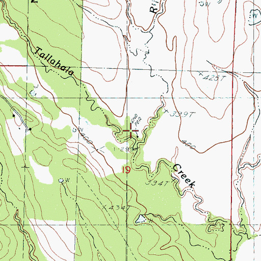 Topographic Map of Riley Branch, MS