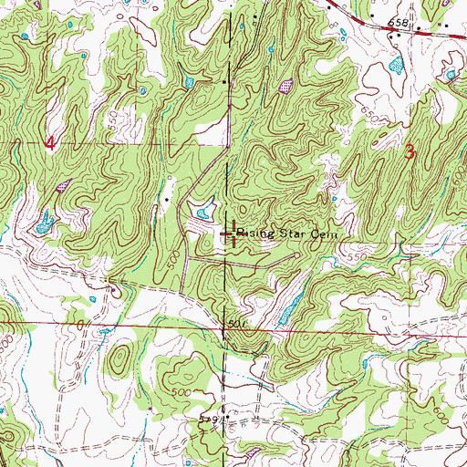 Topographic Map of Rising Star Cemetery, MS