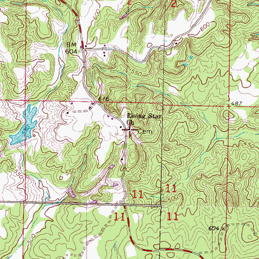 Topographic Map of Rising Star Missionary Baptist Church, MS
