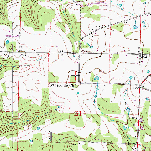 Topographic Map of Whiteville School (historical), AR