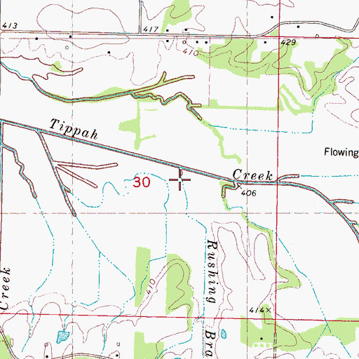Topographic Map of Rushing Branch, MS