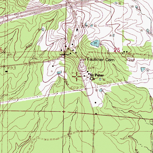 Topographic Map of Saint Peter School, MS