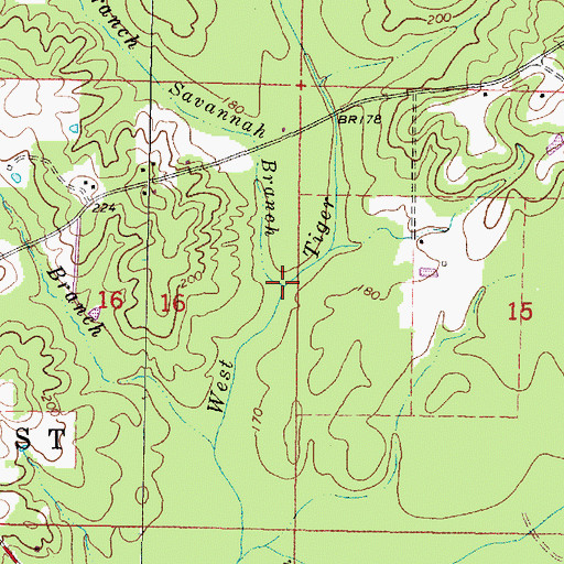 Topographic Map of Savannah Branch, MS