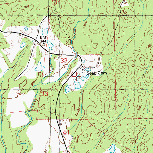 Topographic Map of Seab Cemetery, MS
