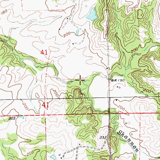 Topographic Map of Shannon Branch, MS