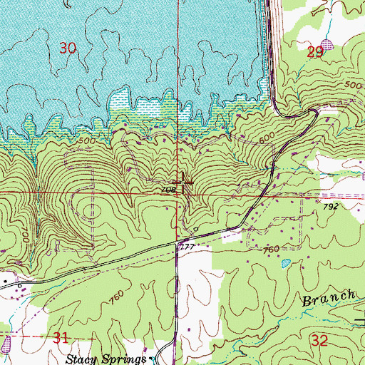Topographic Map of Driftwood Shores, AR