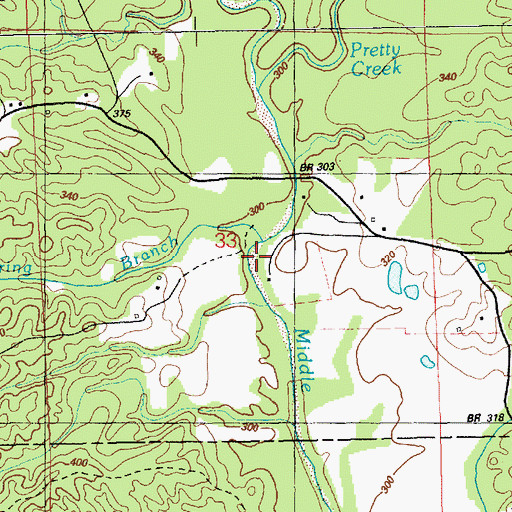 Topographic Map of Spring Branch, MS