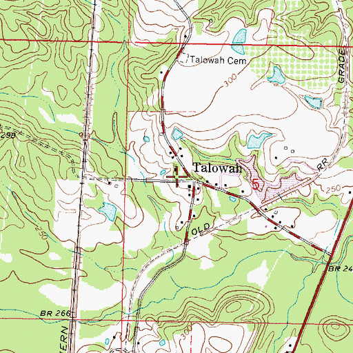 Topographic Map of Talowah, MS