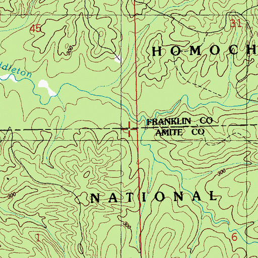 Topographic Map of Tanyard Creek, MS