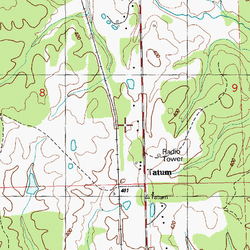 Topographic Map of Tatum, MS