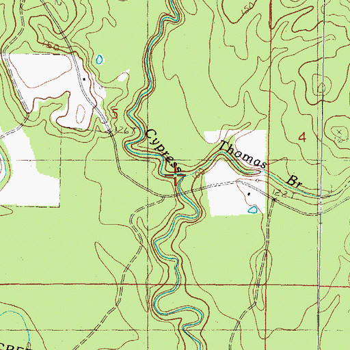 Topographic Map of Thomas Branch, MS