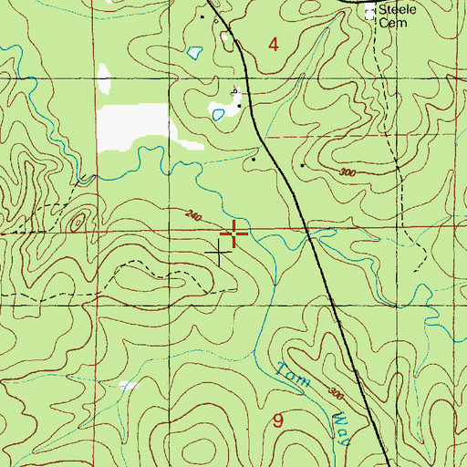 Topographic Map of Tom Way Branch, MS