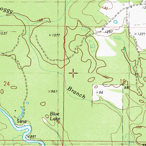 Topographic Map of Run Branch, MS