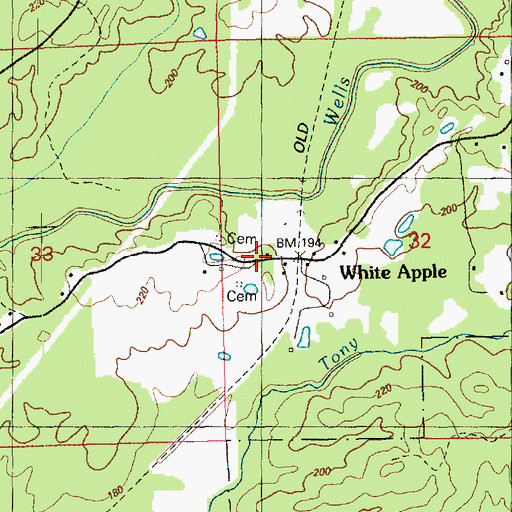 Topographic Map of White Apple, MS