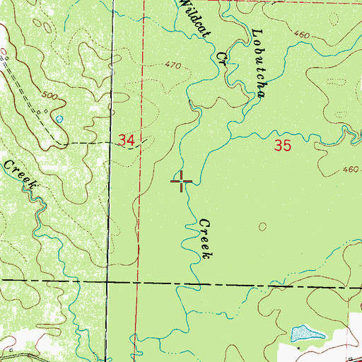 Topographic Map of Wildcat Creek, MS
