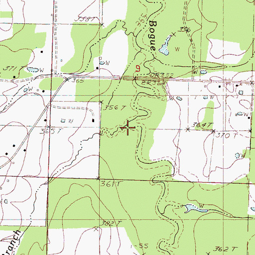 Topographic Map of Big Branch, MS