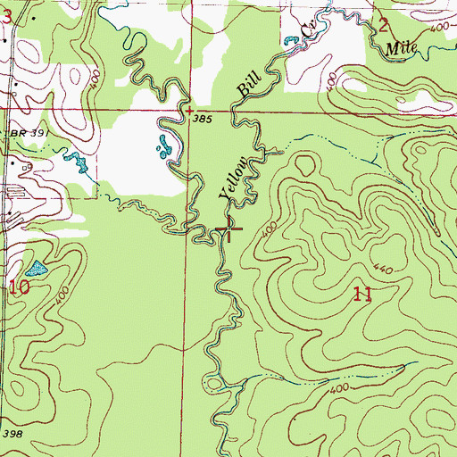 Topographic Map of Yellow Bill Creek, MS
