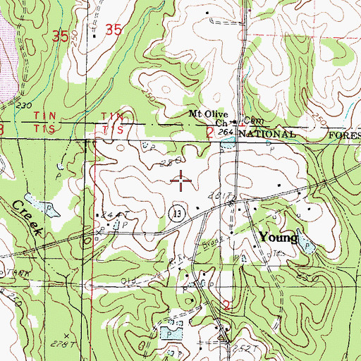 Topographic Map of Young, MS
