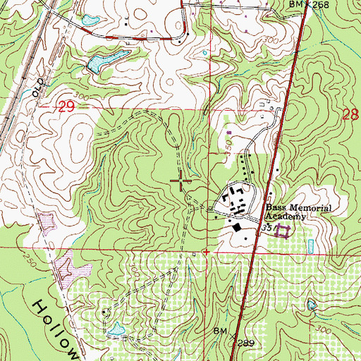 Topographic Map of Freedom Strip, MS