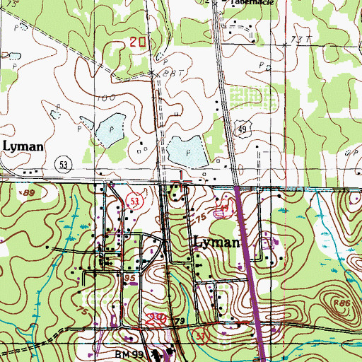 Topographic Map of Ferguson Lake Dam, MS