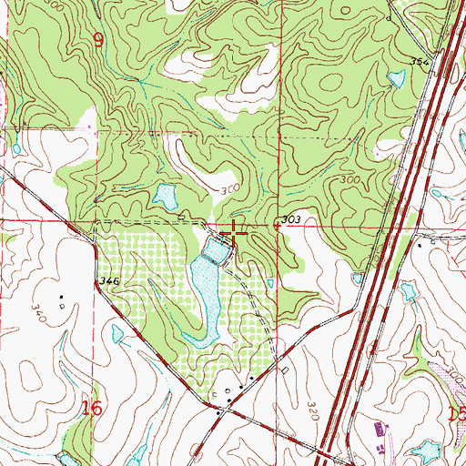 Topographic Map of Bass Pecan Plant Pond Dam, MS