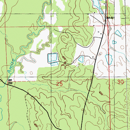 Topographic Map of Bowlin Lake Dam, MS